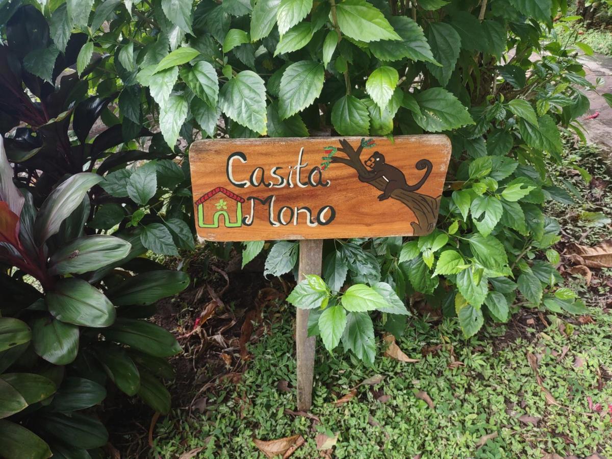 Finca Mystica Mérida Exterior foto