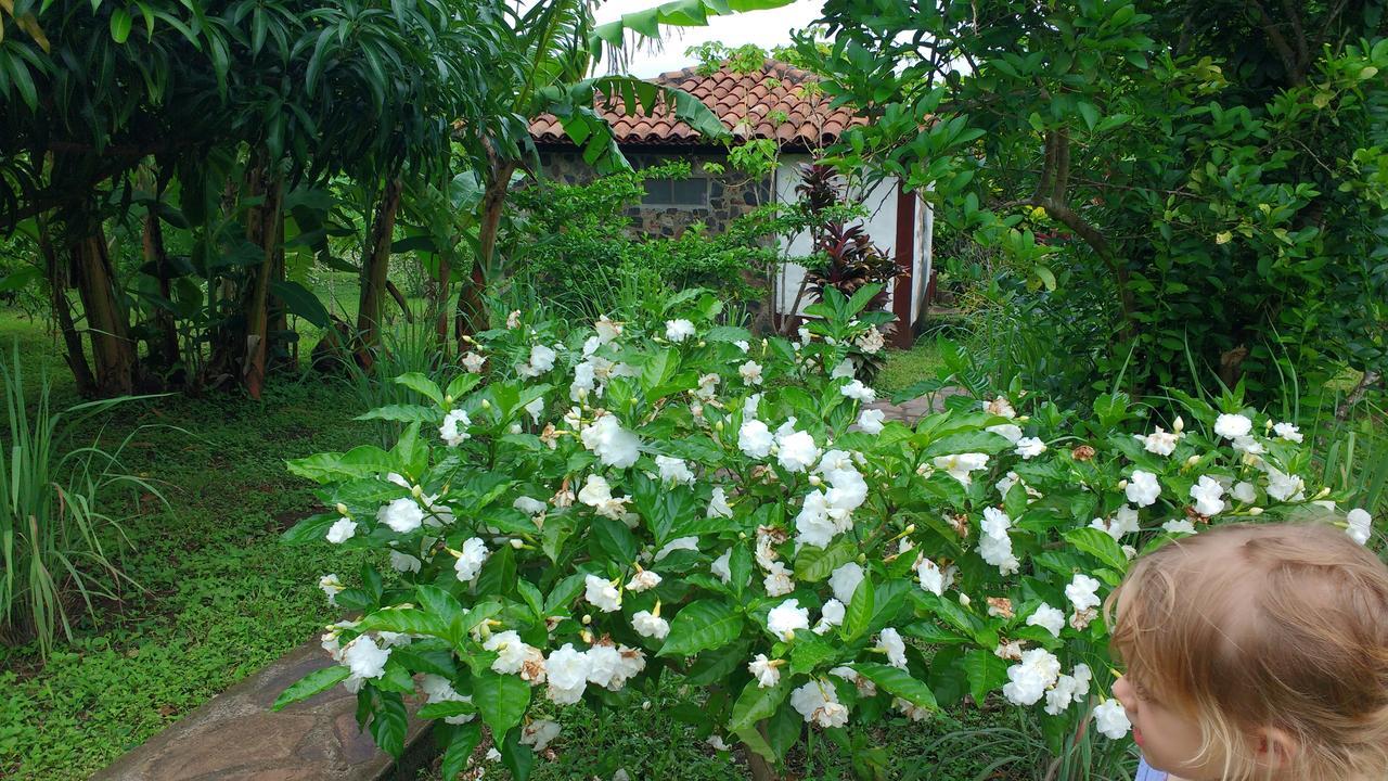 Finca Mystica Mérida Exterior foto